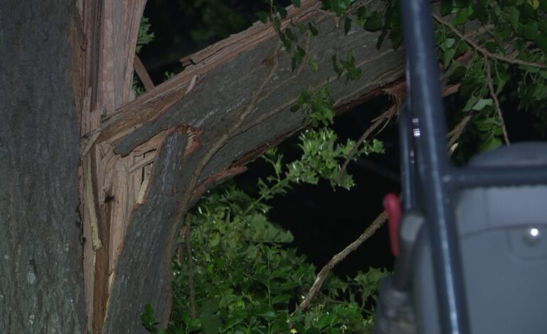 Tree Falls on Southwest Atlanta Home, Tragically Killing 10-Year-Old Girl; Mother and Grandmother Hospitalized