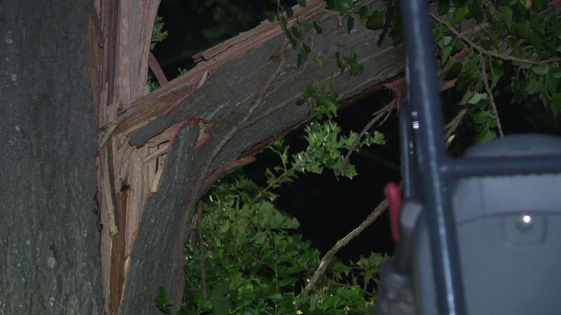 Tree Falls on Southwest Atlanta Home, Tragically Killing 10-Year-Old Girl; Mother and Grandmother Hospitalized